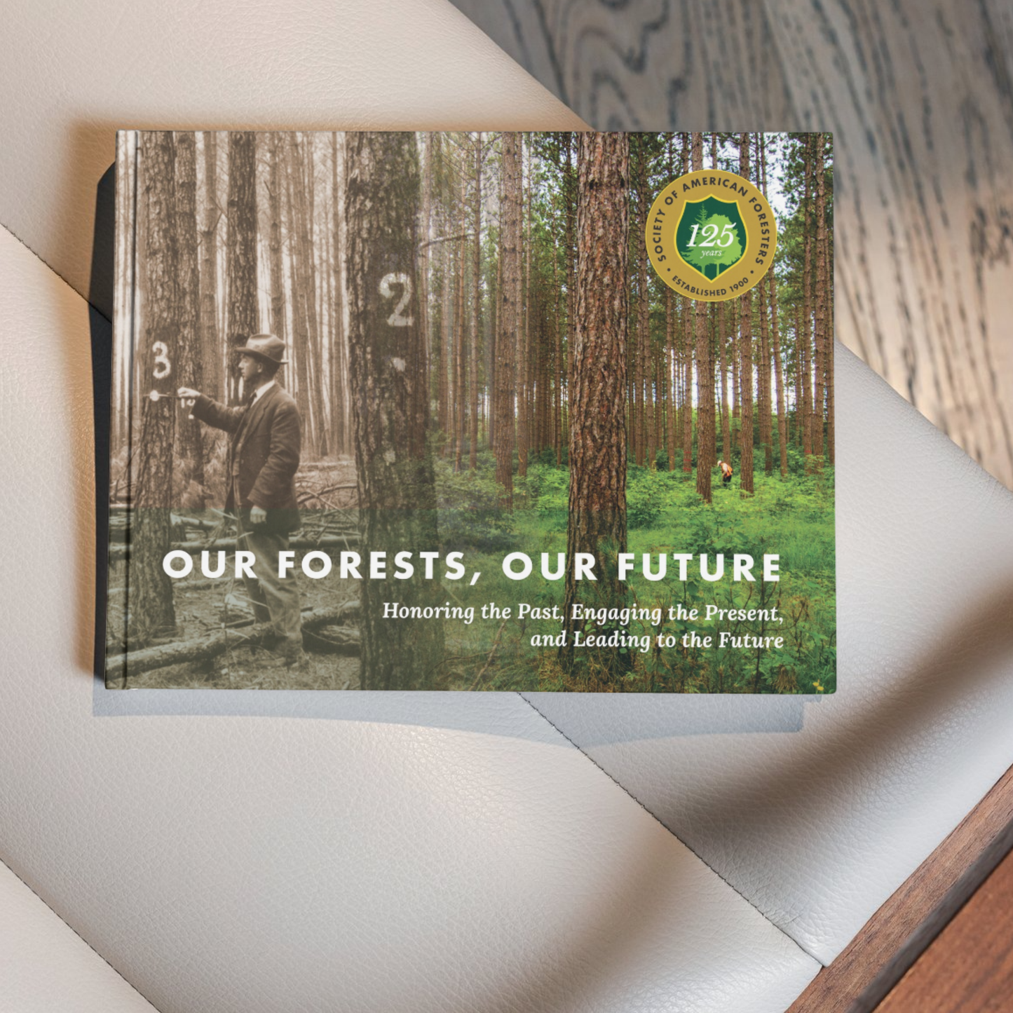 Our Forests, Our Future